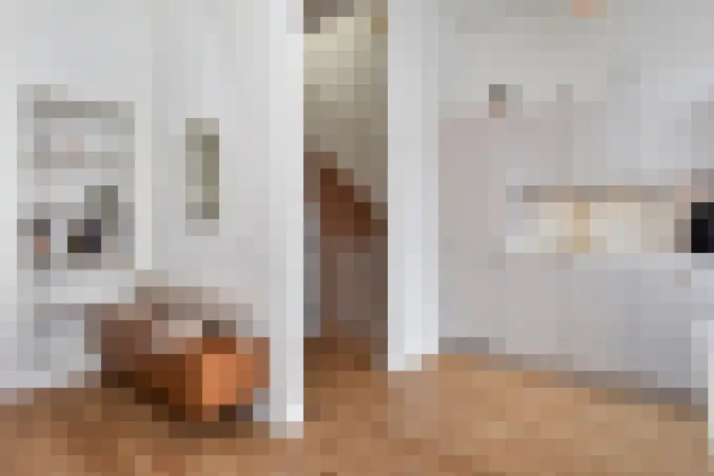 Van Loostraat 116 Den Haag thumbnail 9