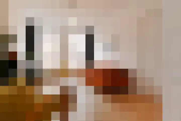 Van Loostraat 118 Den Haag thumbnail 9