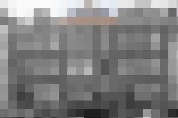 Van Loostraat 12 B Den Haag thumbnail 23