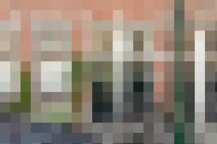 Van Loostraat 12 B Den Haag thumbnail 24