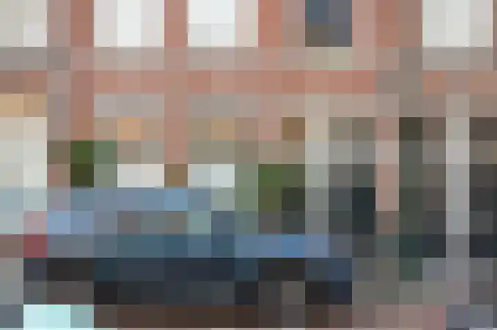 Van Loostraat 12 B Den Haag thumbnail 25