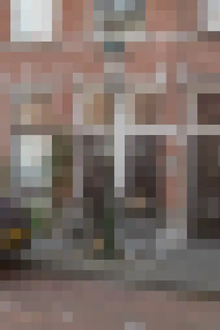 Van Loostraat 12 B Den Haag thumbnail 27