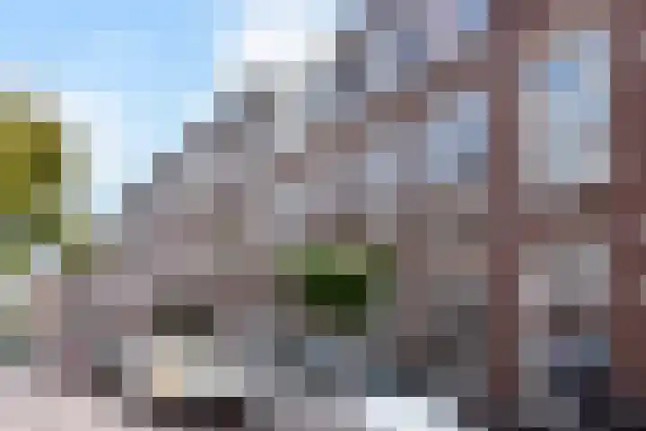 Van Loostraat 120 in Den Haag