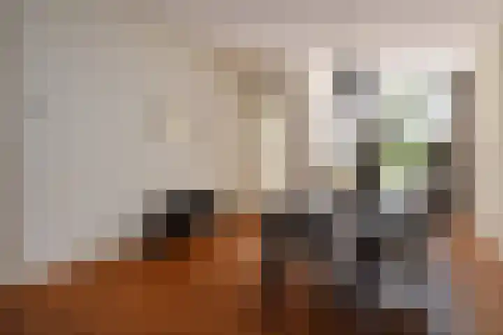 Van Loostraat 120 Den Haag thumbnail 13