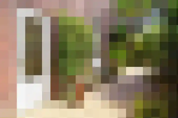 Van Loostraat 120 Den Haag thumbnail 17