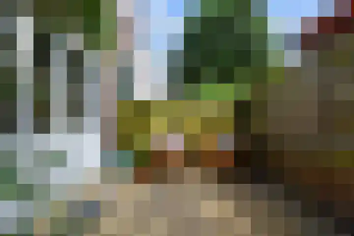 Van Loostraat 120 Den Haag thumbnail 18
