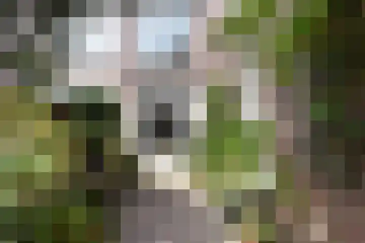 Van Loostraat 120 Den Haag thumbnail 20