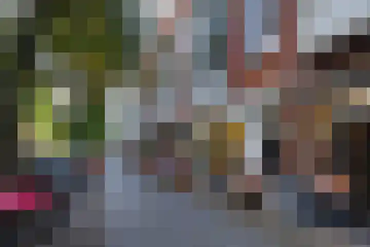 Van Loostraat 120 Den Haag thumbnail 48