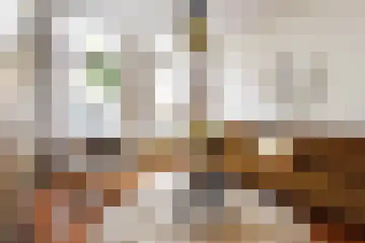 Van Loostraat 120 Den Haag thumbnail 6
