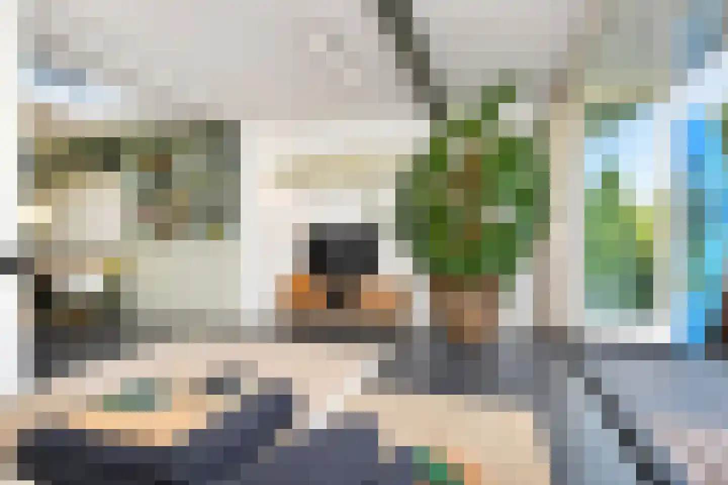 Van Loostraat 125 Den Haag thumbnail 11