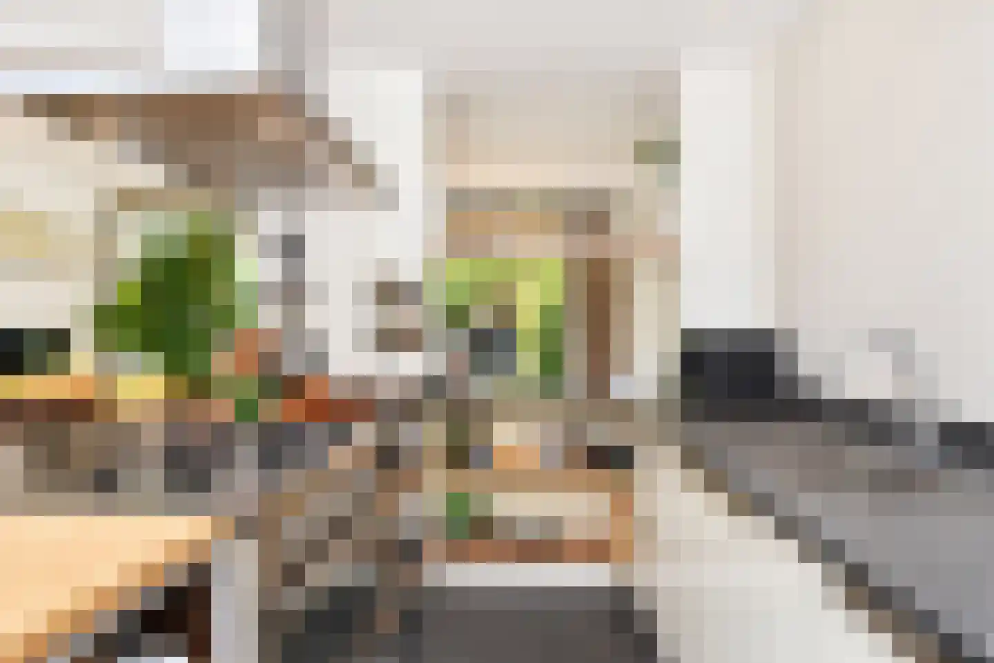 Van Loostraat 125 Den Haag thumbnail 13