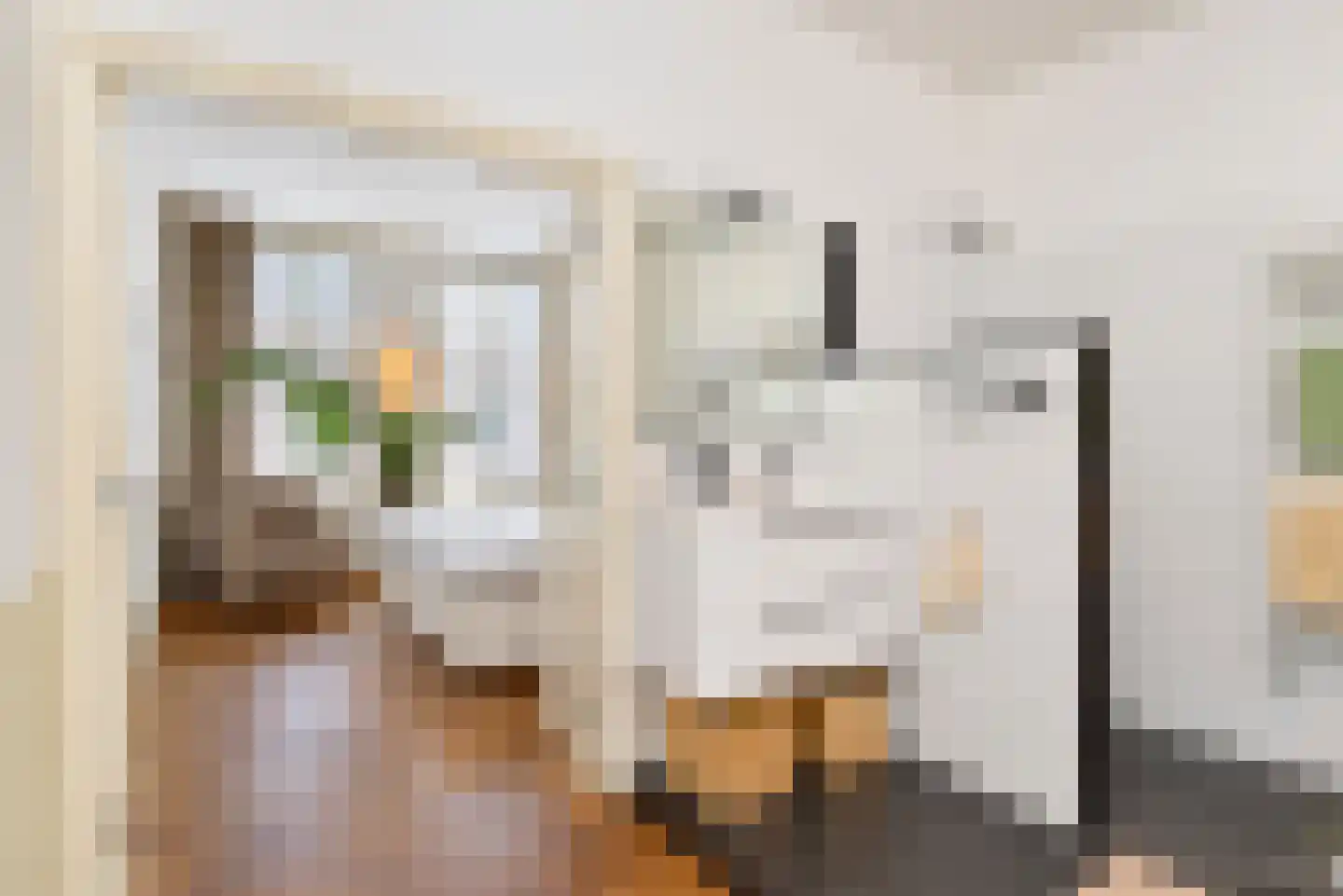 Van Loostraat 125 Den Haag thumbnail 22