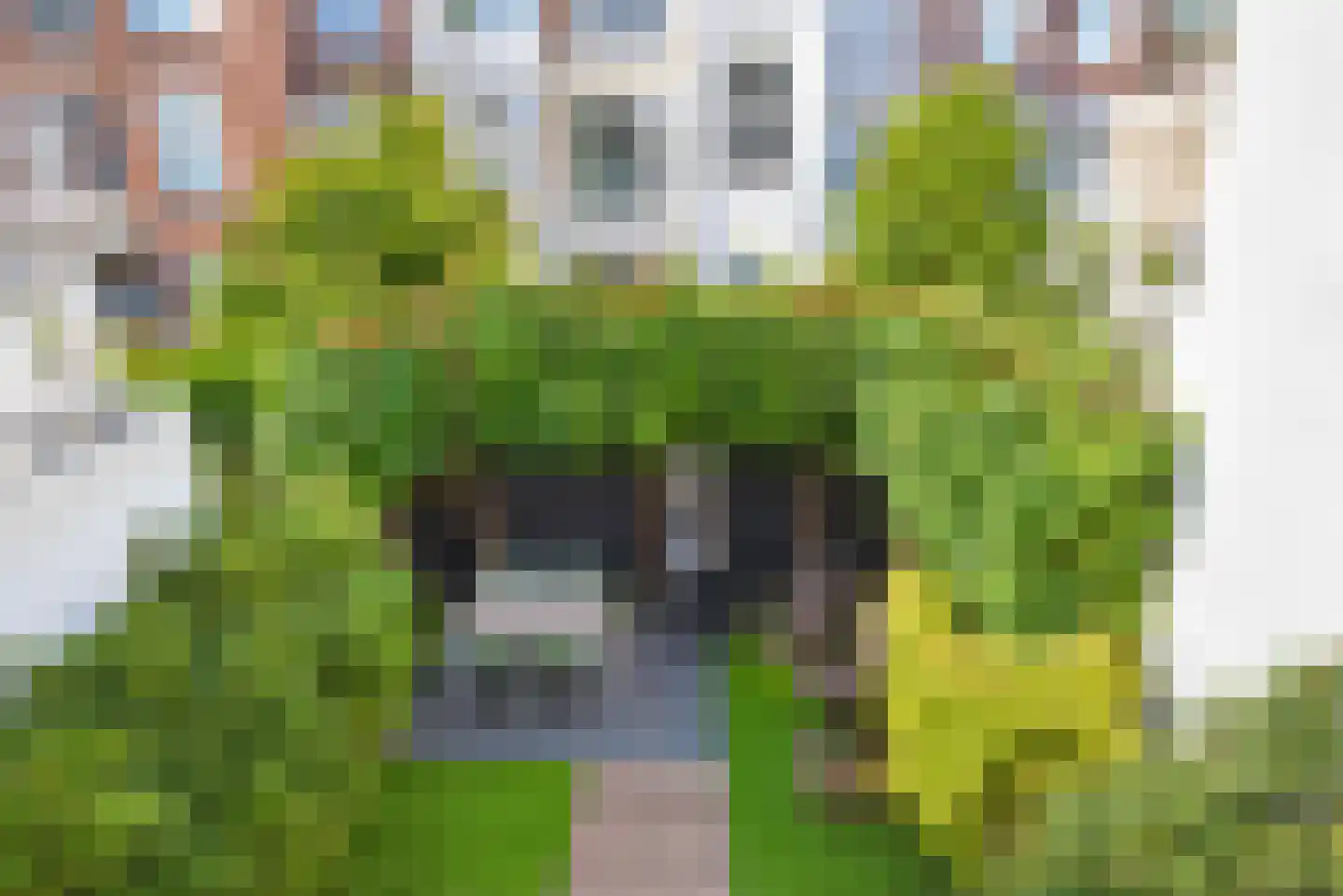 Van Loostraat 125 Den Haag thumbnail 28
