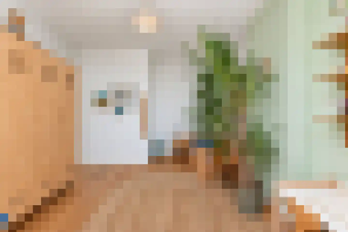 Van Loostraat 125 Den Haag thumbnail 32