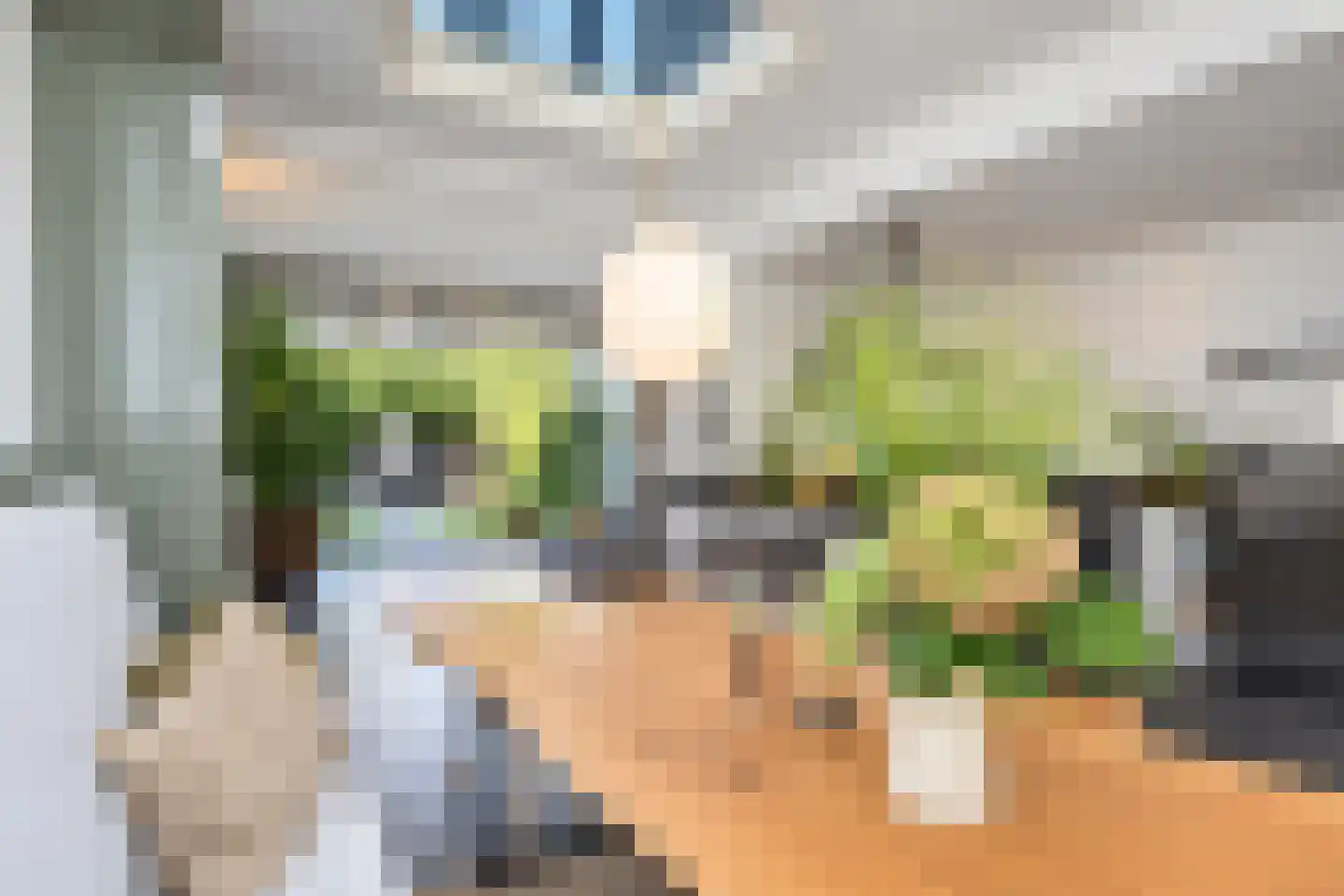 Van Loostraat 125 Den Haag thumbnail 4