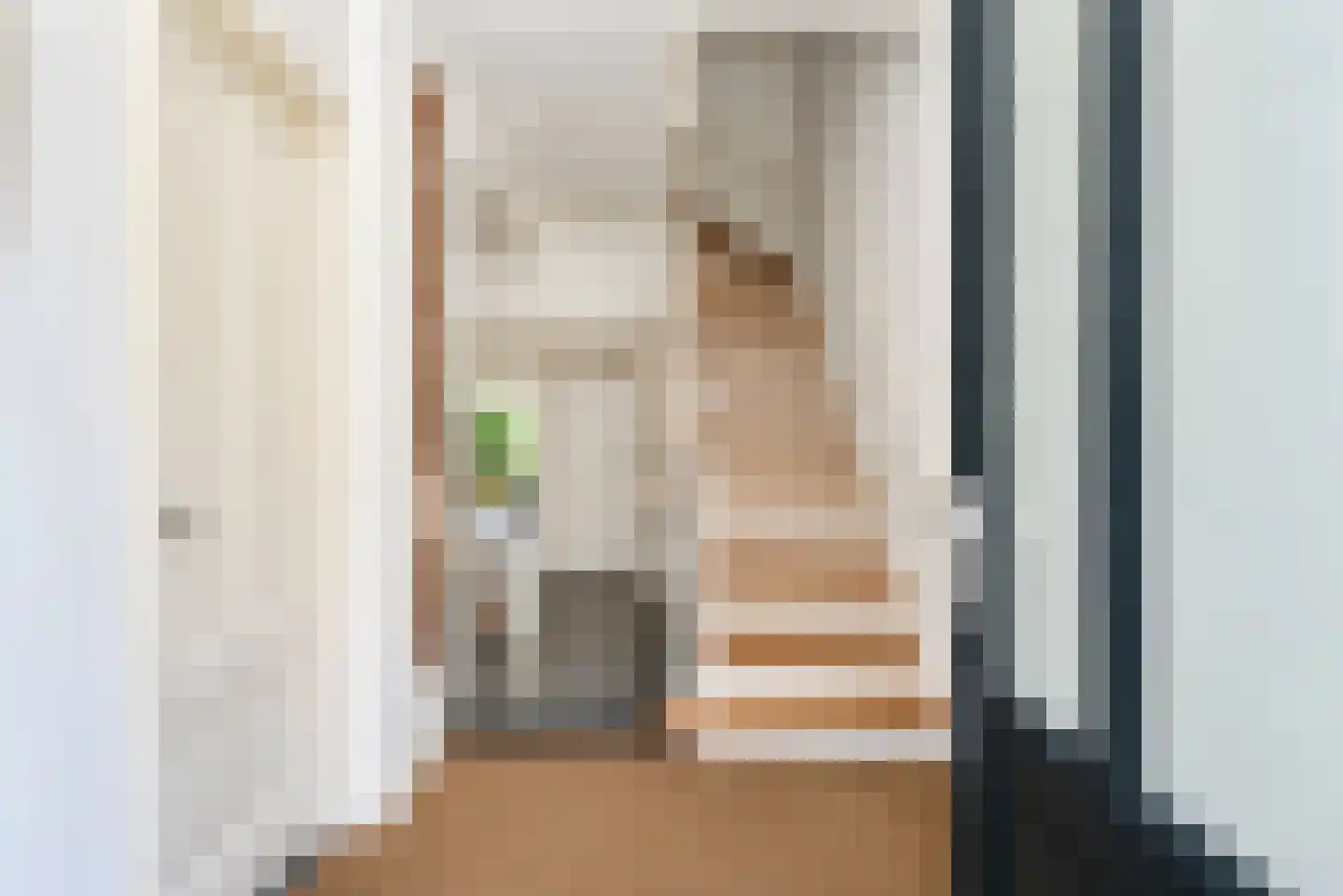 Van Loostraat 125 Den Haag thumbnail 8