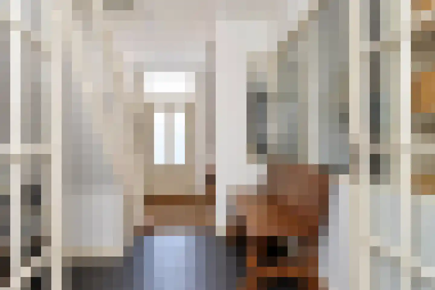 Van Loostraat 125 Den Haag thumbnail 9