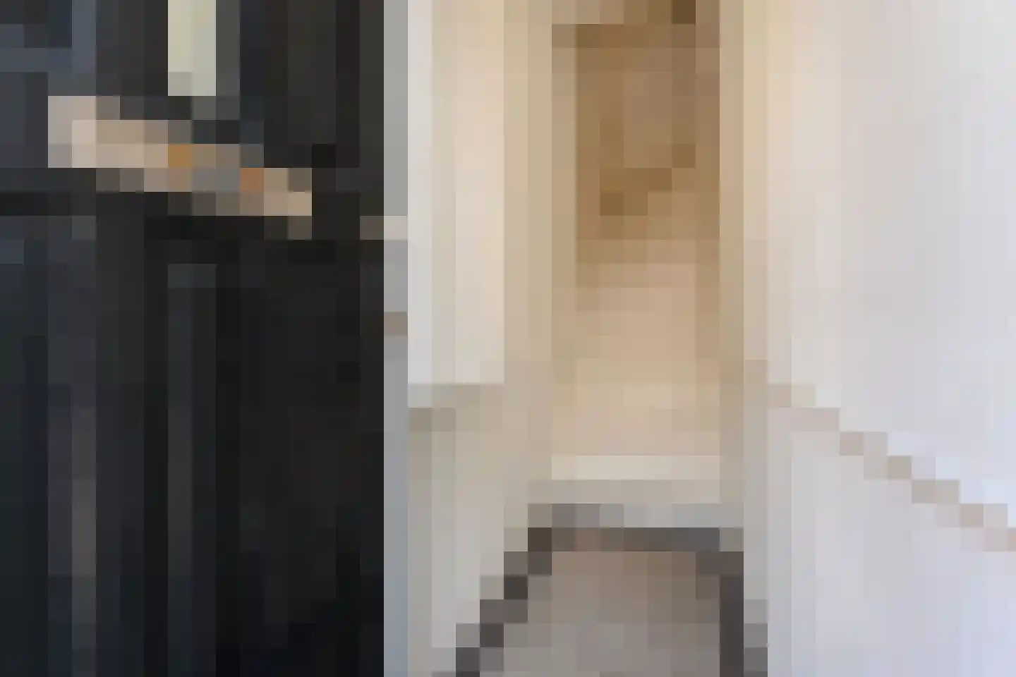 Van Loostraat 126 Den Haag thumbnail 10