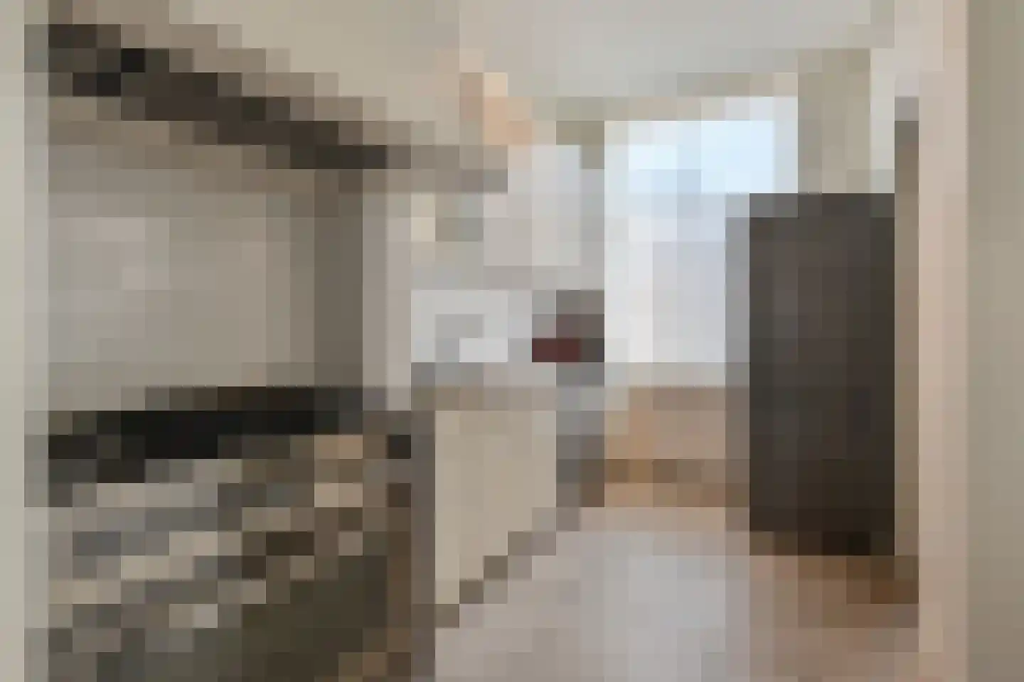 Van Loostraat 126 Den Haag thumbnail 17