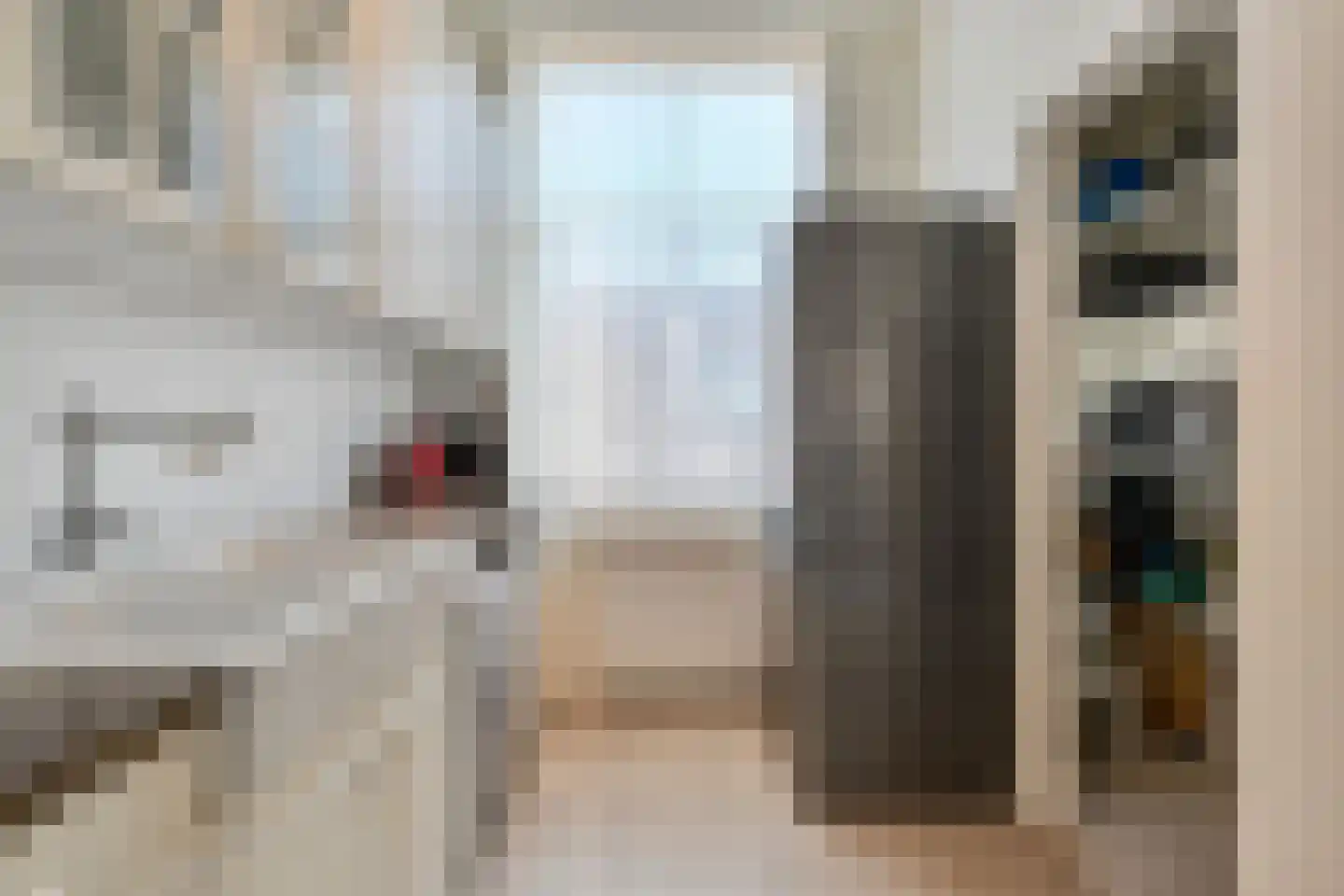 Van Loostraat 126 Den Haag thumbnail 18