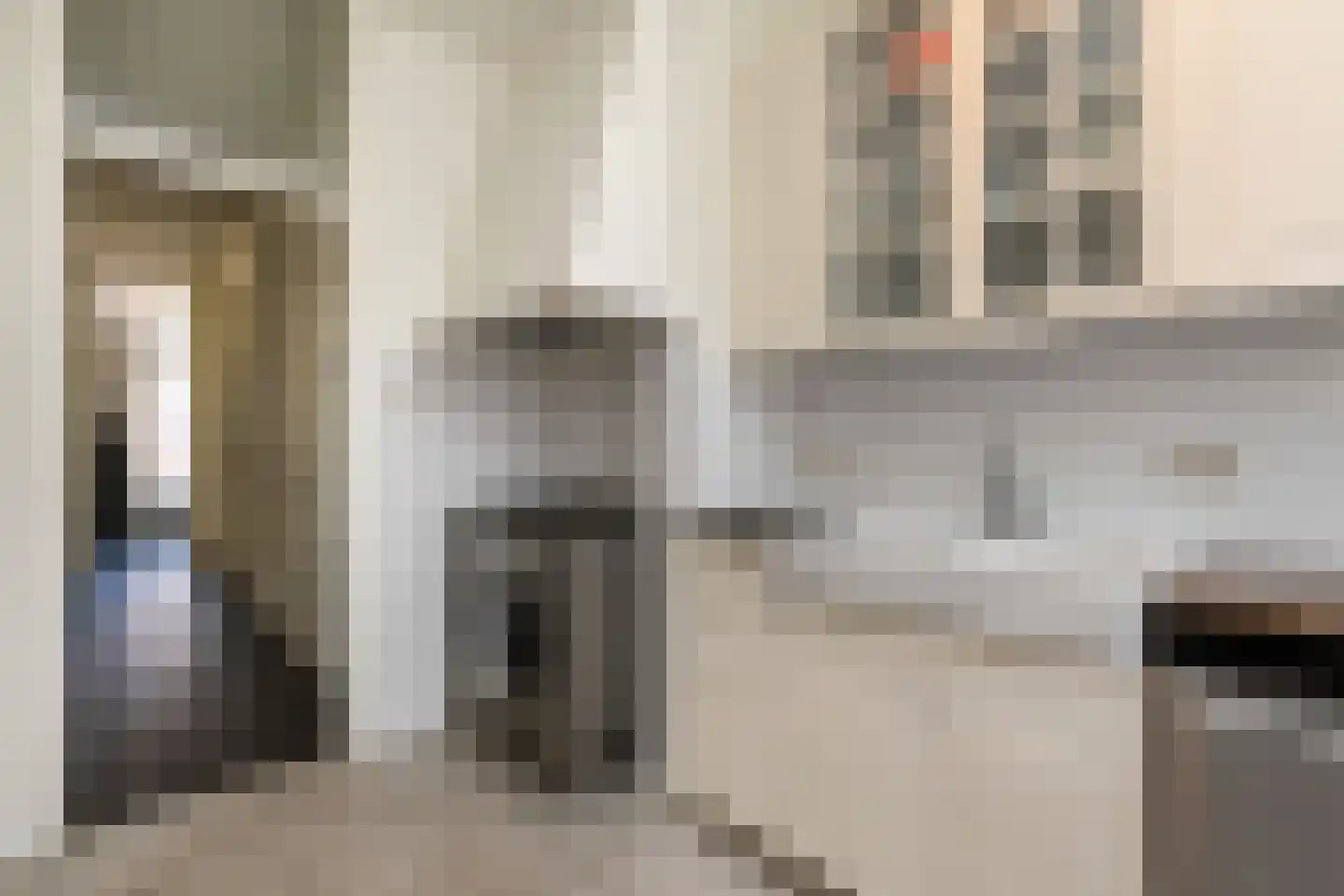 Van Loostraat 126 Den Haag thumbnail 20