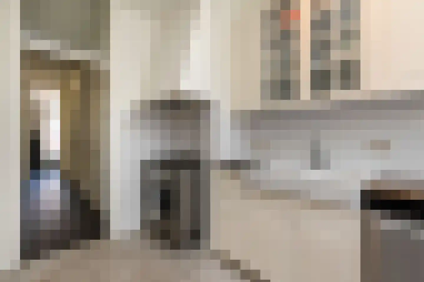 Van Loostraat 126 Den Haag thumbnail 21