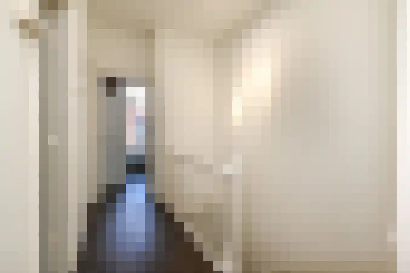 Van Loostraat 126 Den Haag thumbnail 23