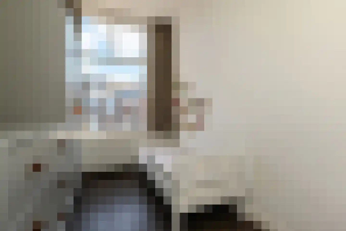 Van Loostraat 126 Den Haag thumbnail 29