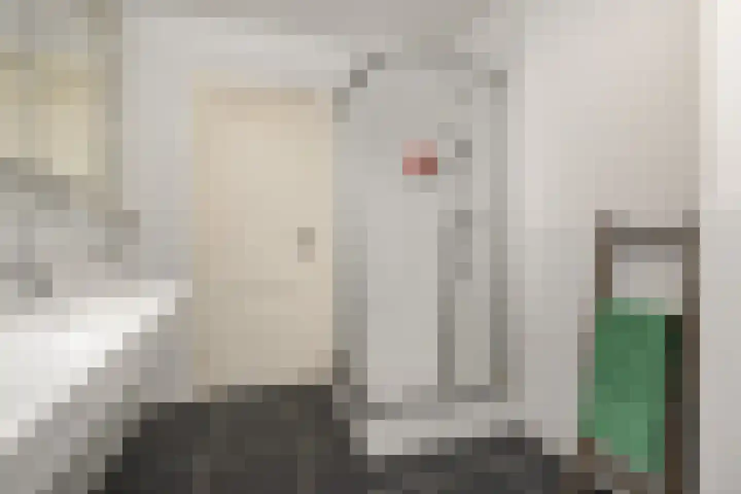 Van Loostraat 126 Den Haag thumbnail 32