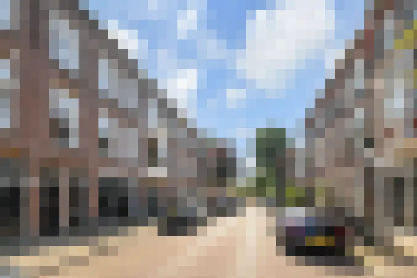 Van Loostraat 126 Den Haag thumbnail 6