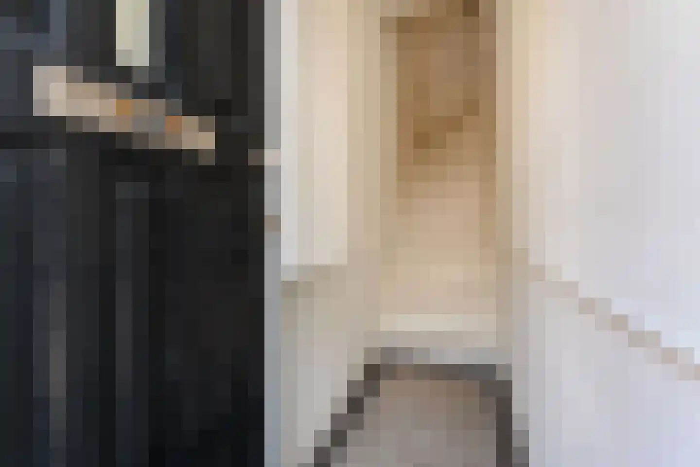 Van Loostraat 126 Den Haag thumbnail 9