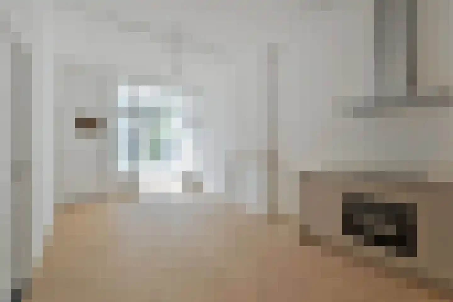 Van Loostraat 142 Den Haag thumbnail 12