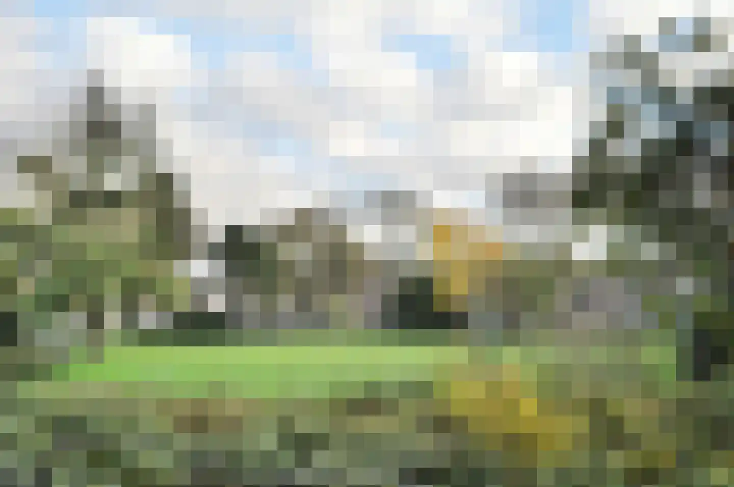 Van Loostraat 142 Den Haag thumbnail 33