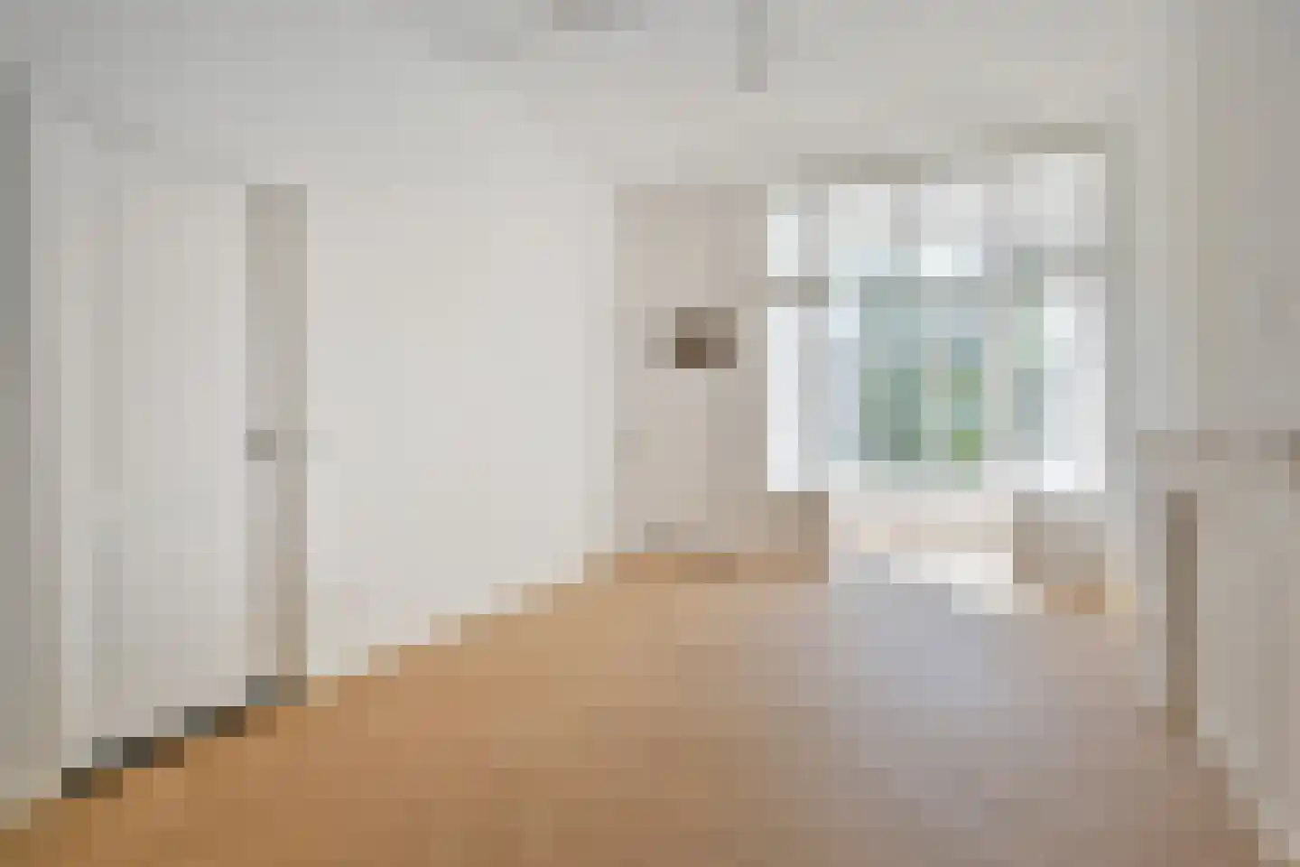 Van Loostraat 142 Den Haag thumbnail 7