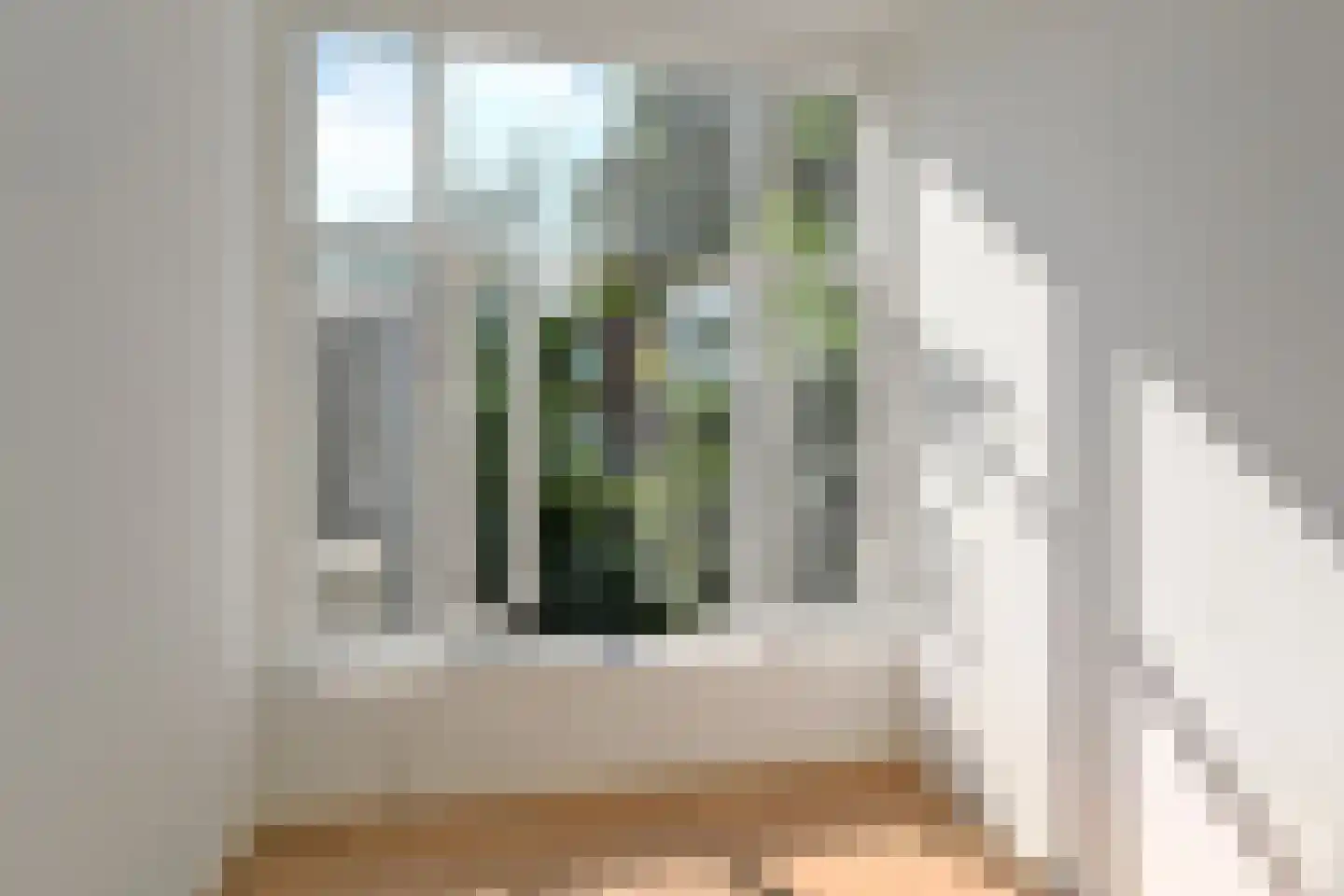 Van Loostraat 142 Den Haag thumbnail 8