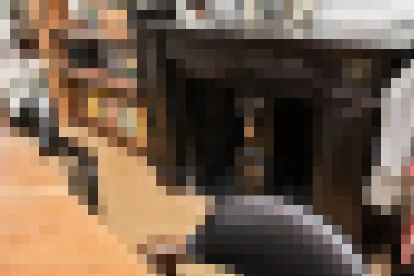 Van Loostraat 144 Den Haag thumbnail 15