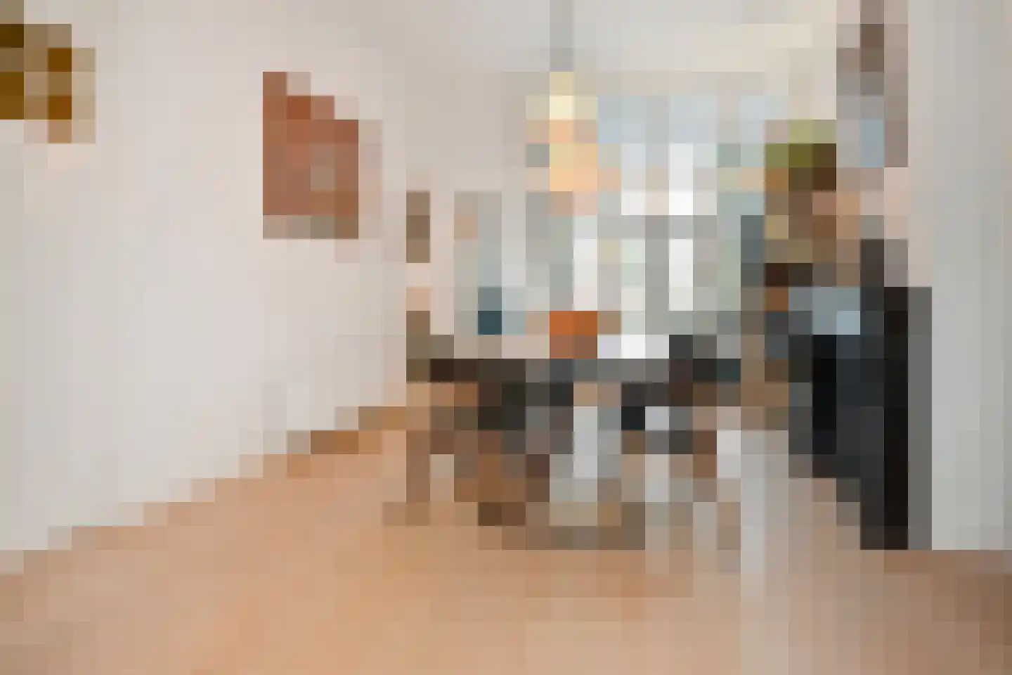 Van Loostraat 144 Den Haag thumbnail 16