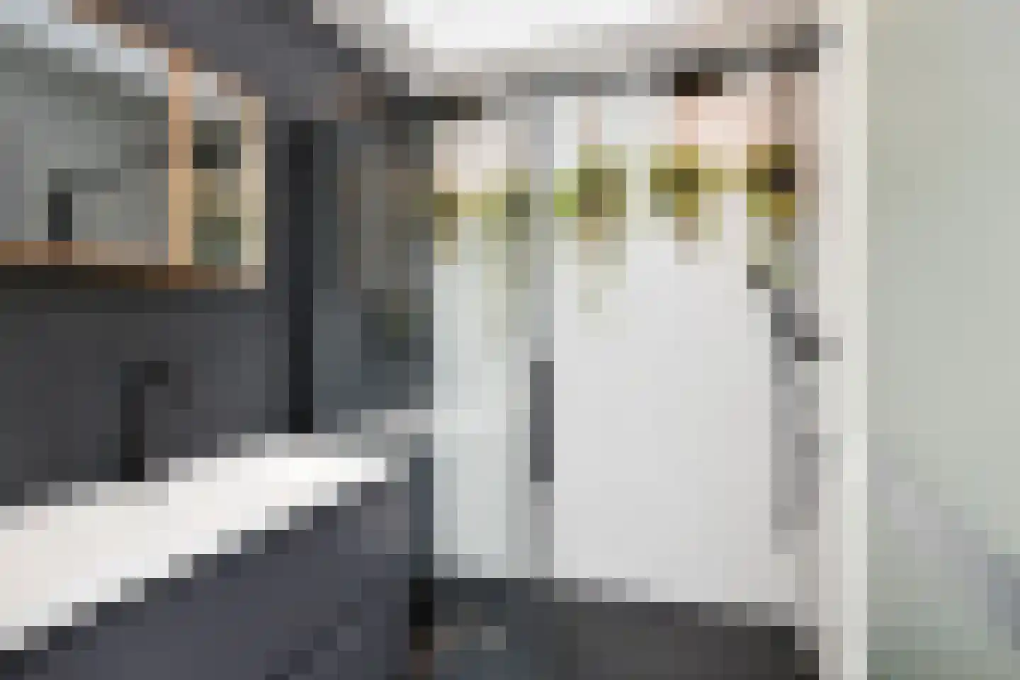Van Loostraat 144 Den Haag thumbnail 24
