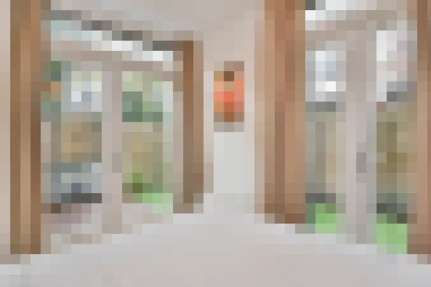 Van Loostraat 144 Den Haag thumbnail 27