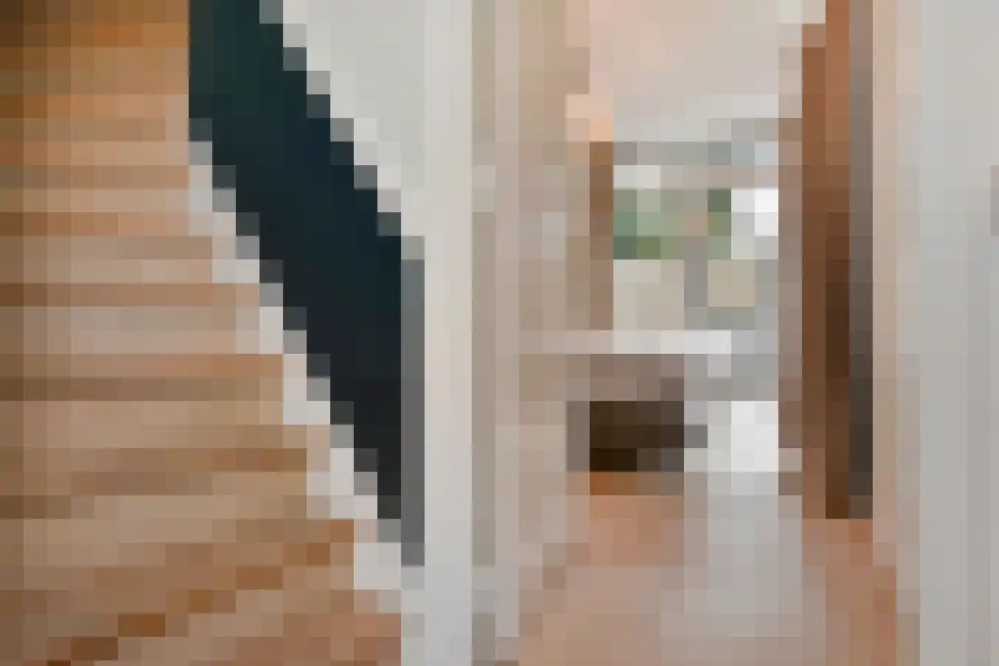 Van Loostraat 144 Den Haag thumbnail 29