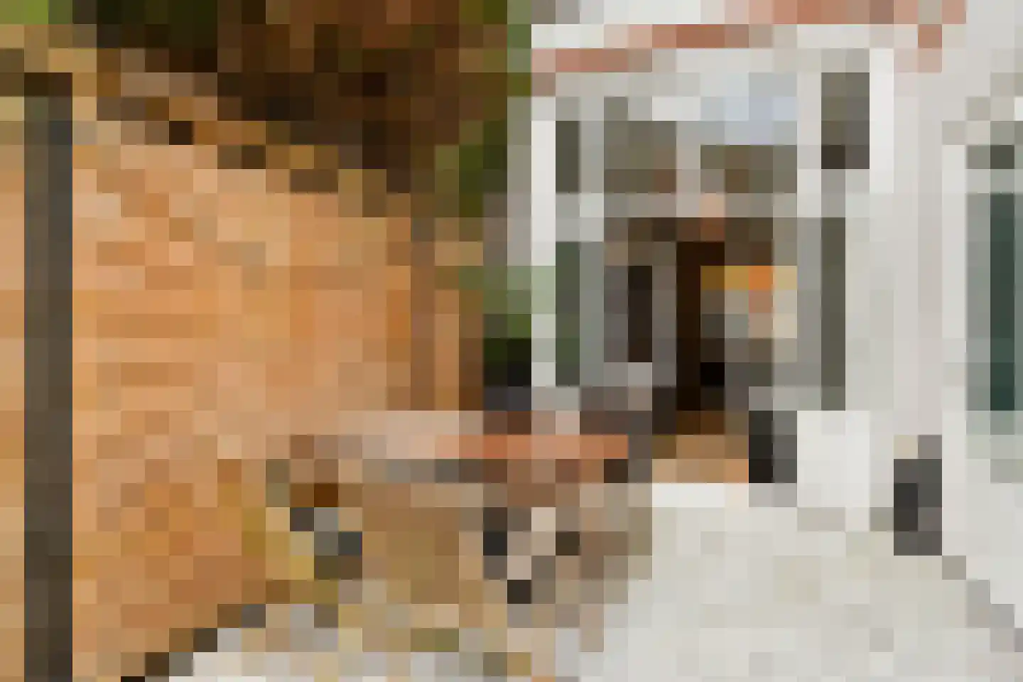 Van Loostraat 144 Den Haag thumbnail 5