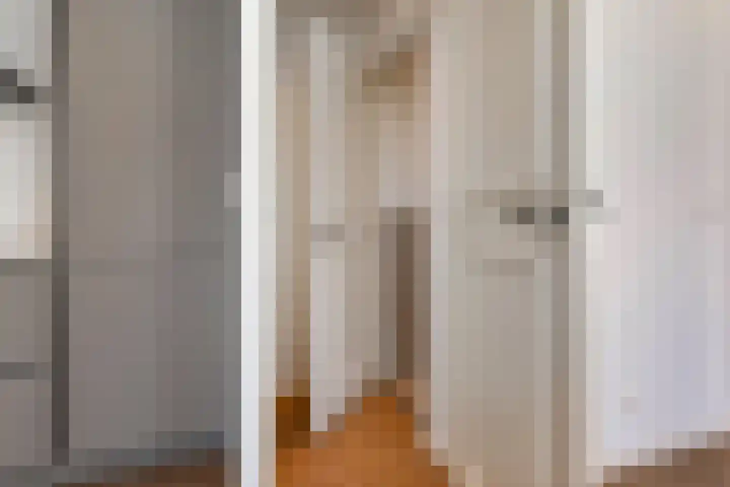 Van Loostraat 146 Den Haag thumbnail 13