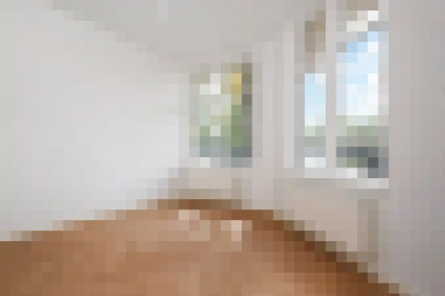 Van Loostraat 146 Den Haag thumbnail 17