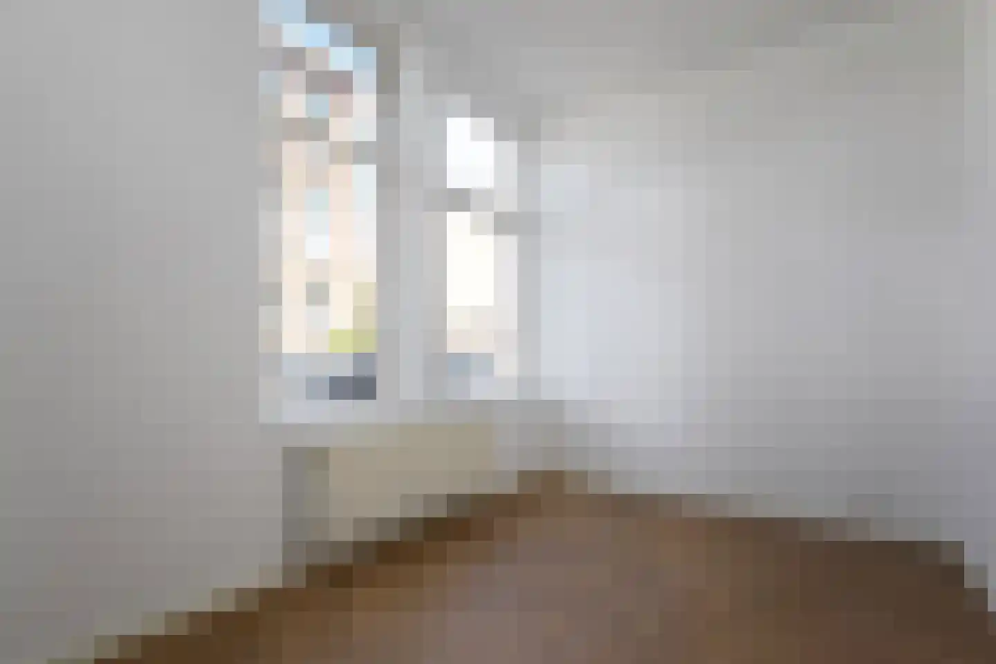 Van Loostraat 146 Den Haag thumbnail 23