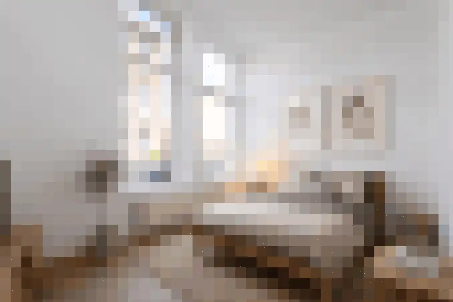 Van Loostraat 146 Den Haag thumbnail 24
