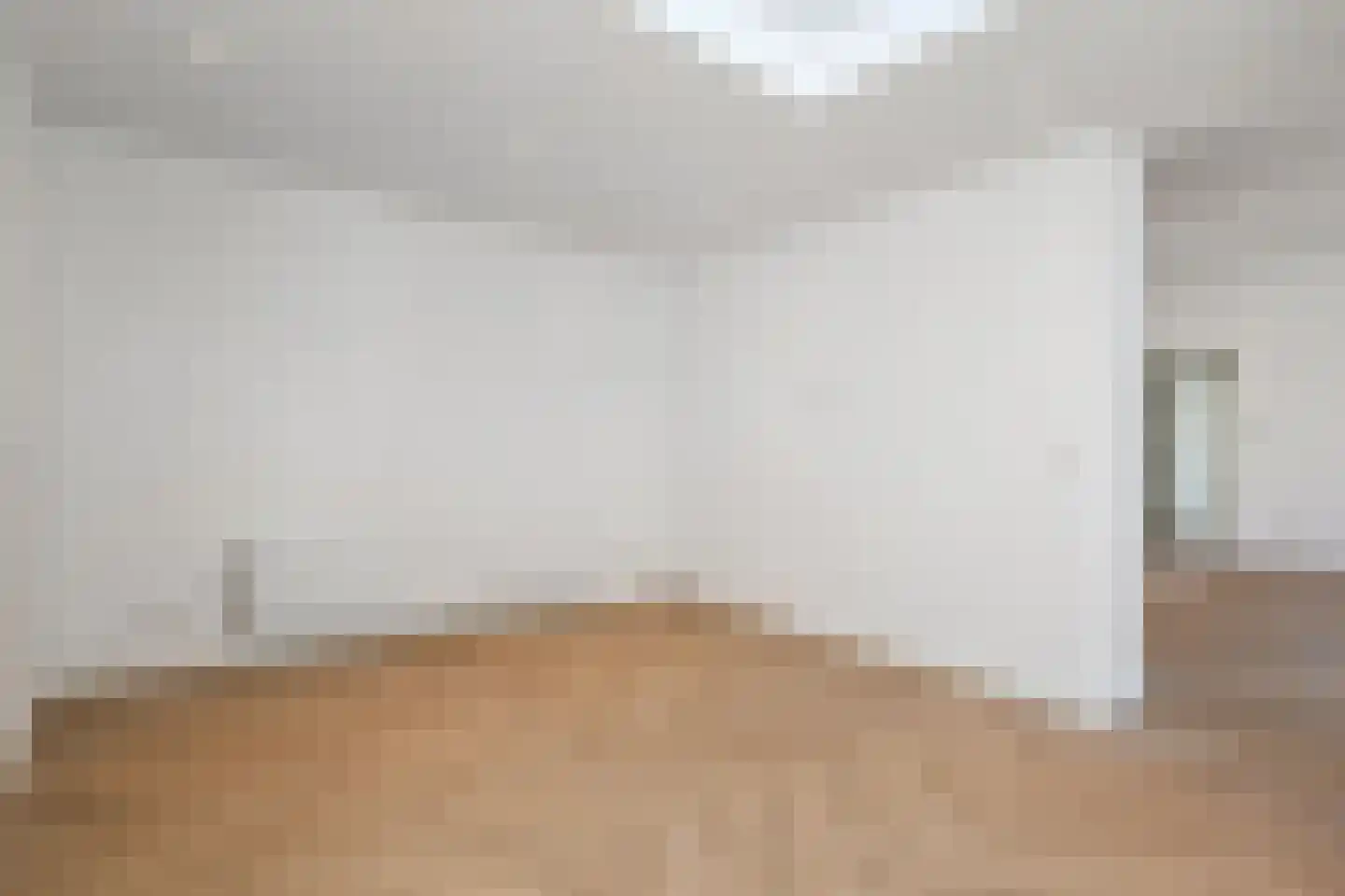 Van Loostraat 146 Den Haag thumbnail 8