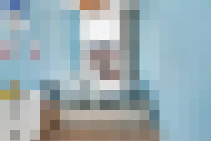 Van Loostraat 21 Den Haag thumbnail 17