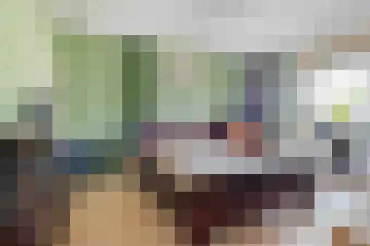 Van Loostraat 21 Den Haag thumbnail 22