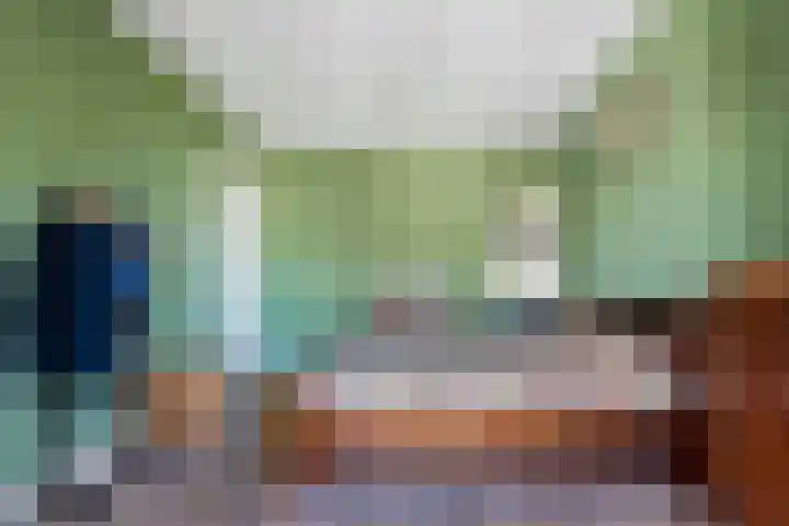 Van Loostraat 21 Den Haag thumbnail 23