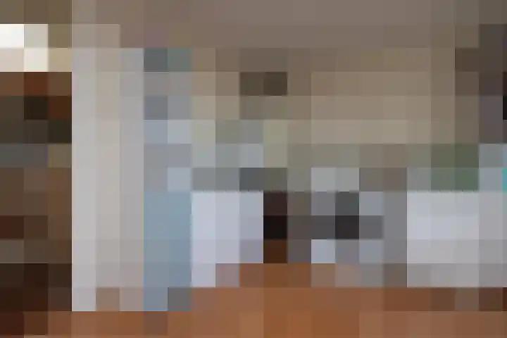 Van Loostraat 21 Den Haag thumbnail 27
